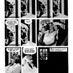 VIAJERO DE GRIS - Imagen 2