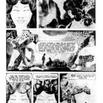 VIAJERO DE GRIS - Imagen 3