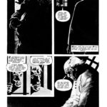 VIAJERO DE GRIS - Imagen 4