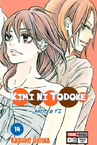 KIMI NI TODOKE 14