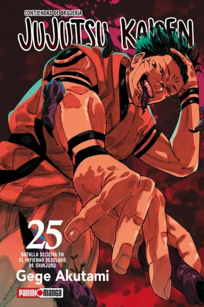 JUJUTSU KAISEN 25