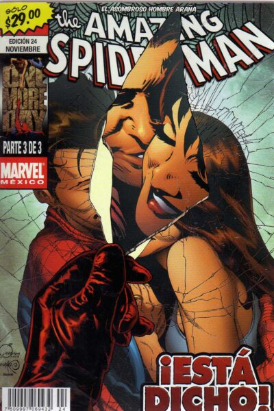 THE AMAZING SPIDER-MAN 24 : ONE MORE DAY