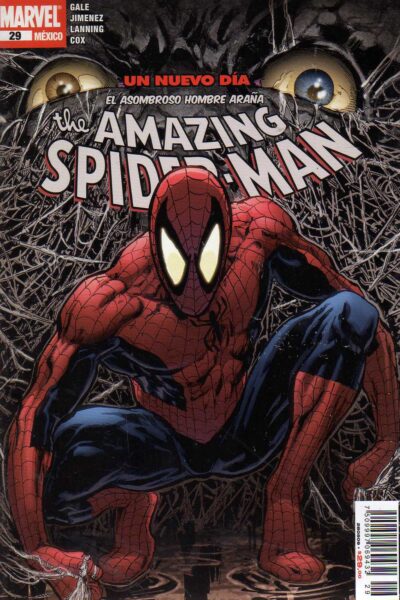 THE AMAZING SPIDER-MAN 29