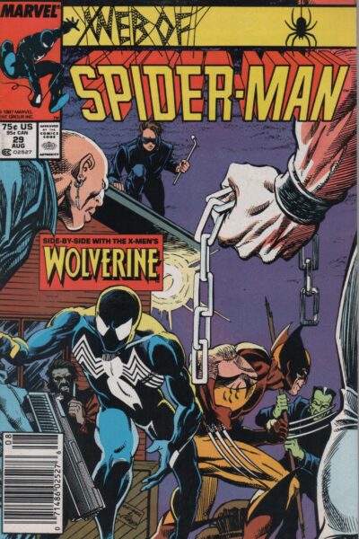 WEB OF SPIDER-MAN 29