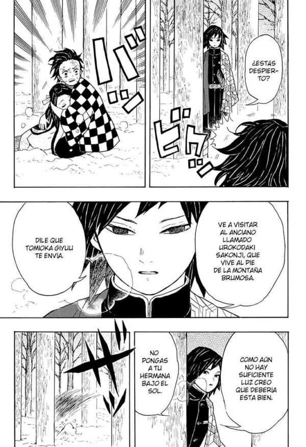 DEMON SLAYER 1 - Imagen 3