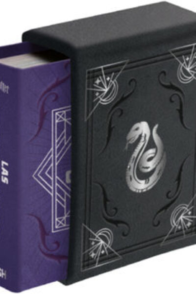 HARRY POTTER : LAS ARTES OSCURAS (MINILIBRO)