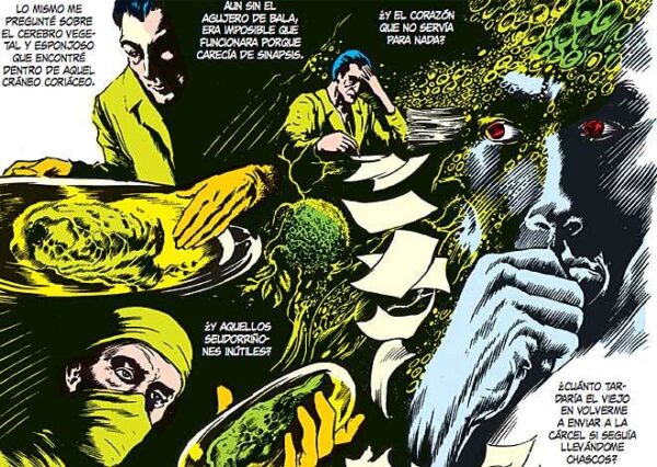 ABSOLUTE SWAMP THING VOL 01 - Imagen 3